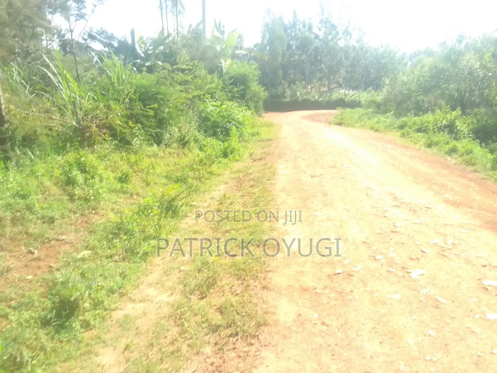 Nyahera Land for Sale