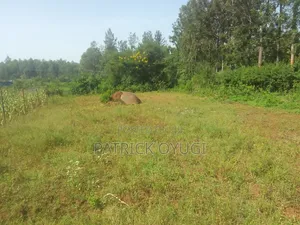 Kisumu Nyahera Land for Sale