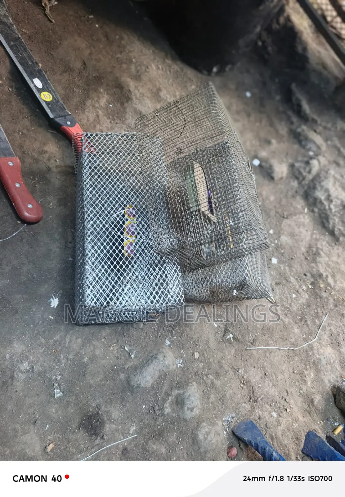 Rodent Trap