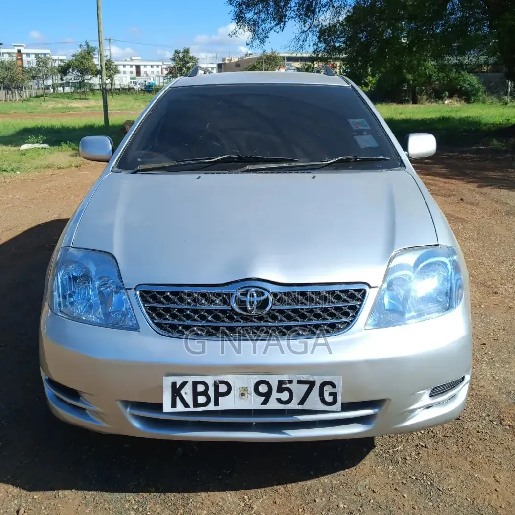 Toyota Corolla Fielder 2005 Silver