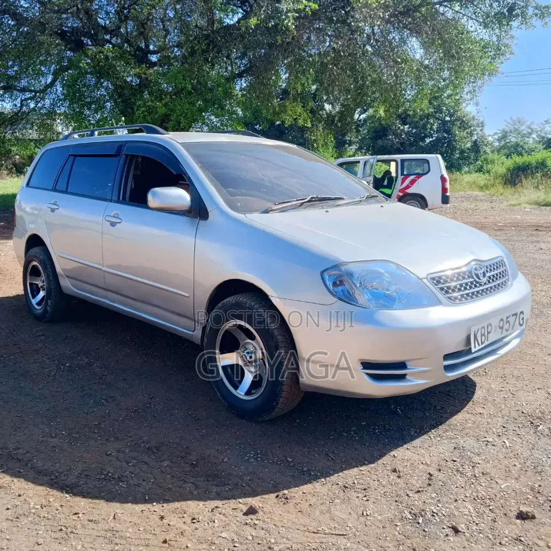 Toyota Corolla Fielder 2005 Silver