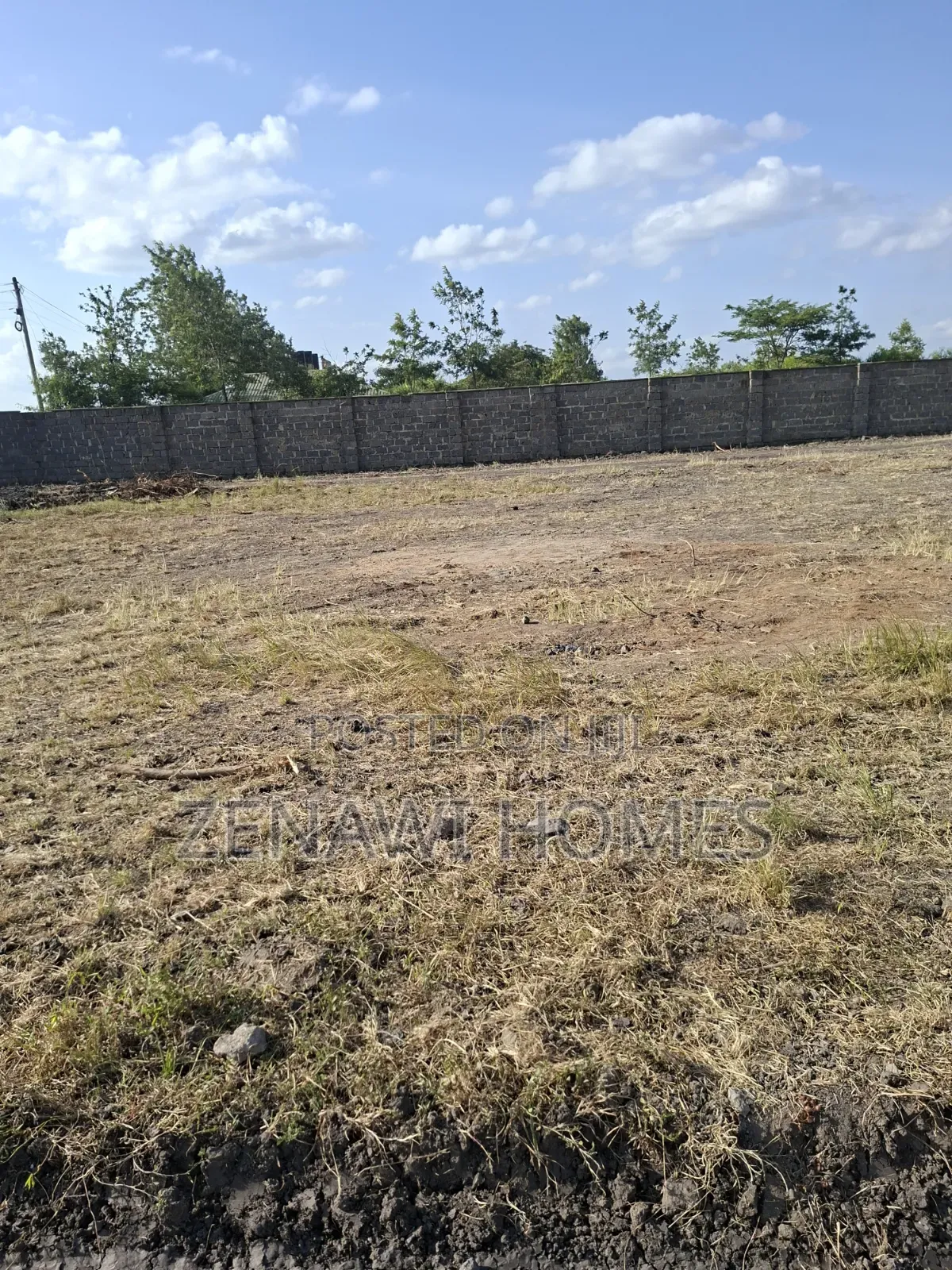 Biy and Build Immediately Jr