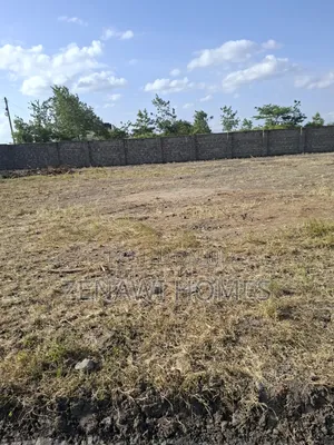 Biy and Build Immediately Jr