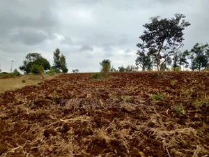3.5acres for Sale in Kirinyaga Mwea Nyangati Alongside the Tarmac