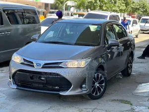 Toyota Axio 2019 Gray