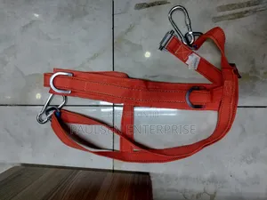 Work Positioning Safety Belt