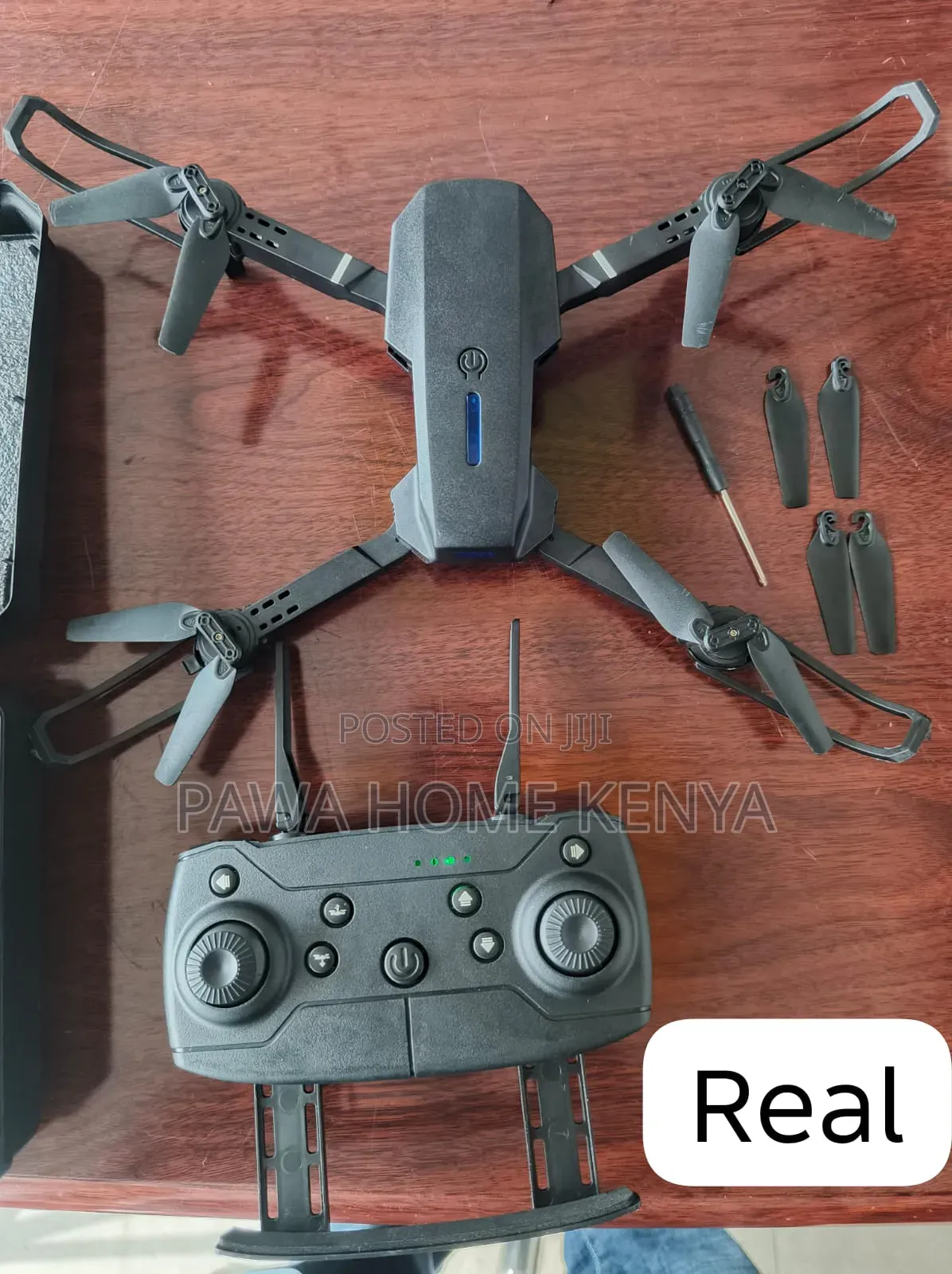 Remote Controlled Dragon Drone