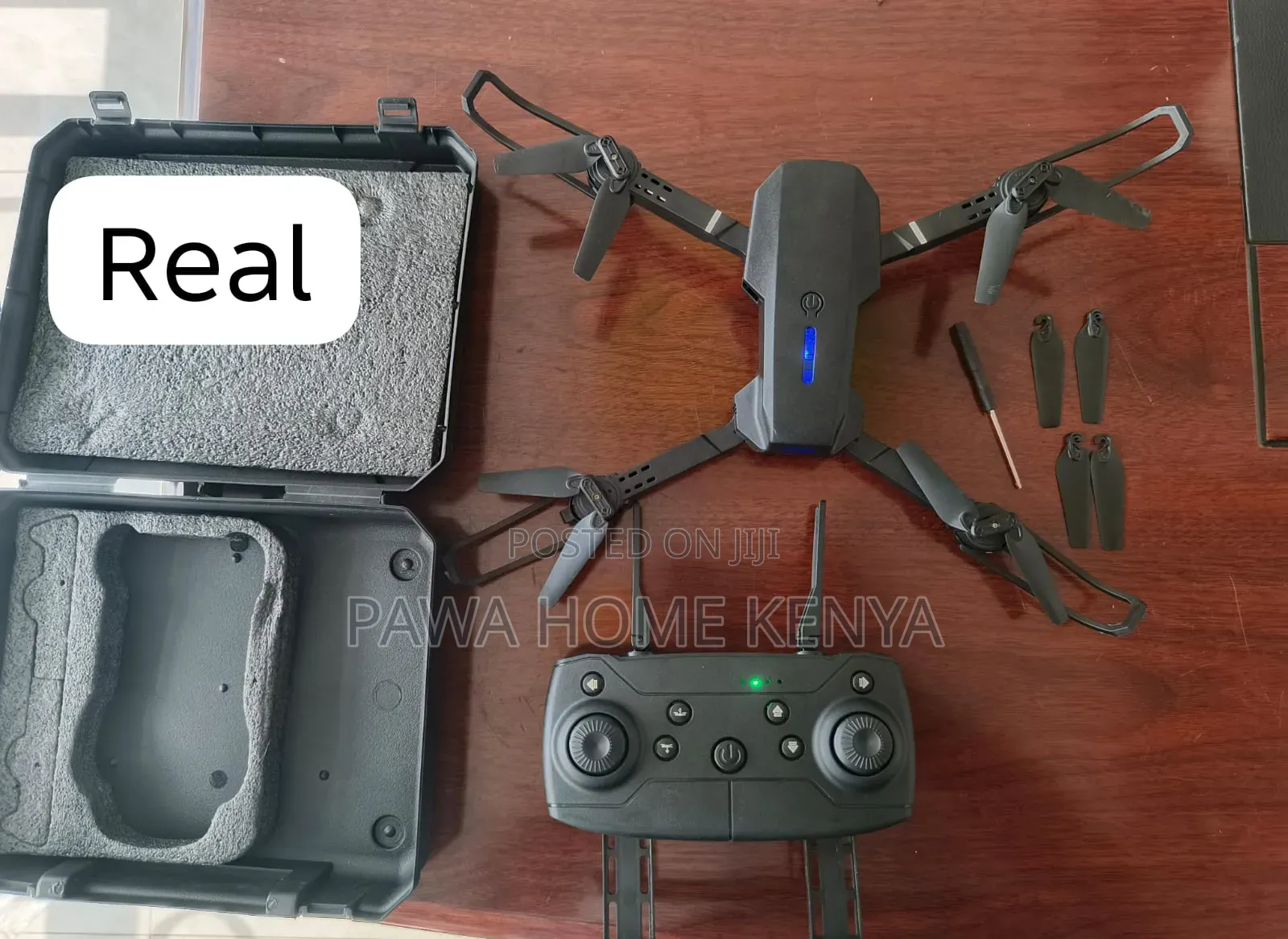 Remote Controlled Dragon Drone