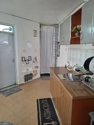 Cozy Home Away From Home Studio Bnb Trm Drive Roysambu Thika Road