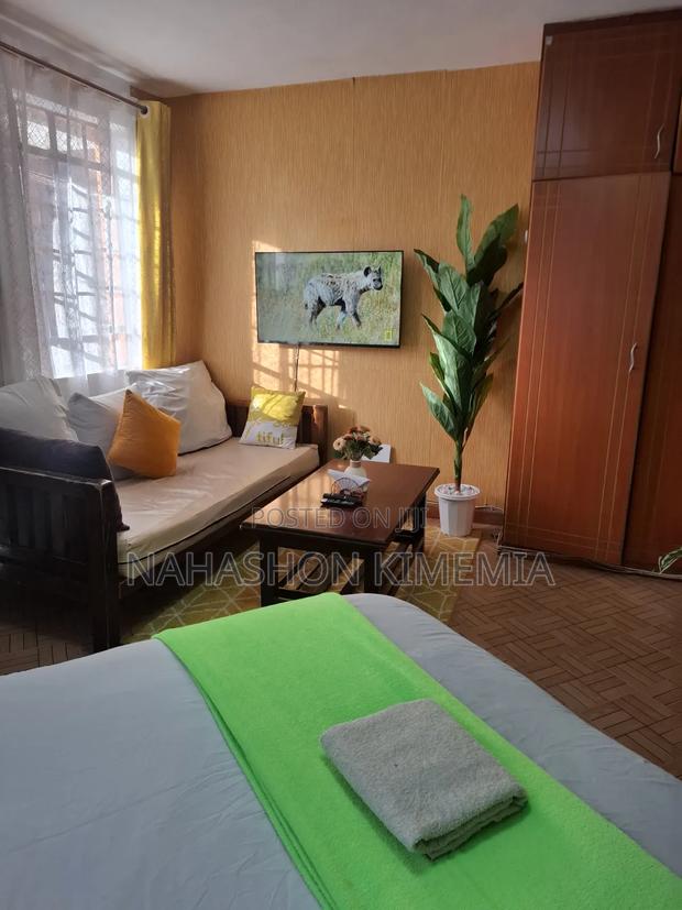Safe, Clean Cozy Studio BNB TRM Drive Roysambu Thika Road Nairobi - thumbnail 7