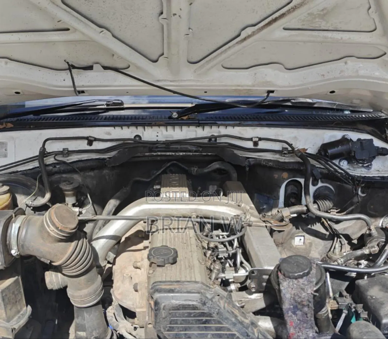 Toyota Land Cruiser 2004 White
