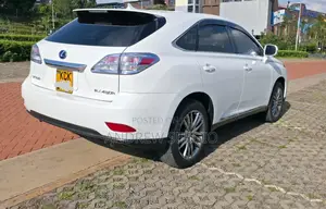 Lexus RX 2010 White