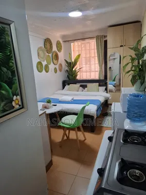 Affordable Comfort Premium Studio BNB TRM Drive Roysambu Thika Road