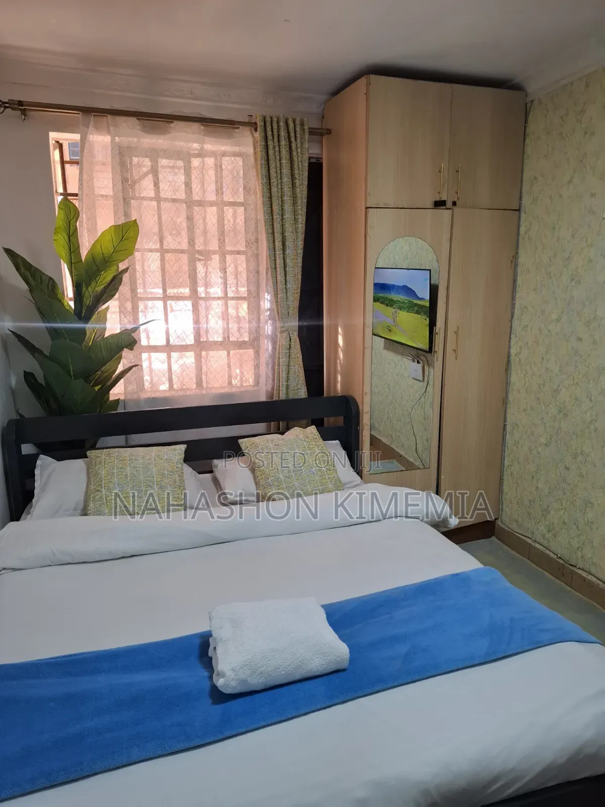 Affordable Comfort Premium Studio BNB TRM Drive Roysambu Thika Road