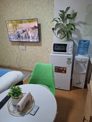 Affordable Comfort Premium Studio BNB TRM Drive Roysambu Thika Road