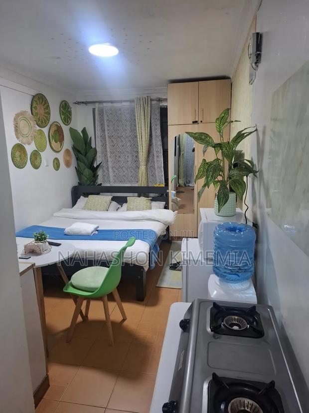 Affordable Comfort Premium Studio BNB TRM Drive Roysambu Thika Road - thumbnail 8
