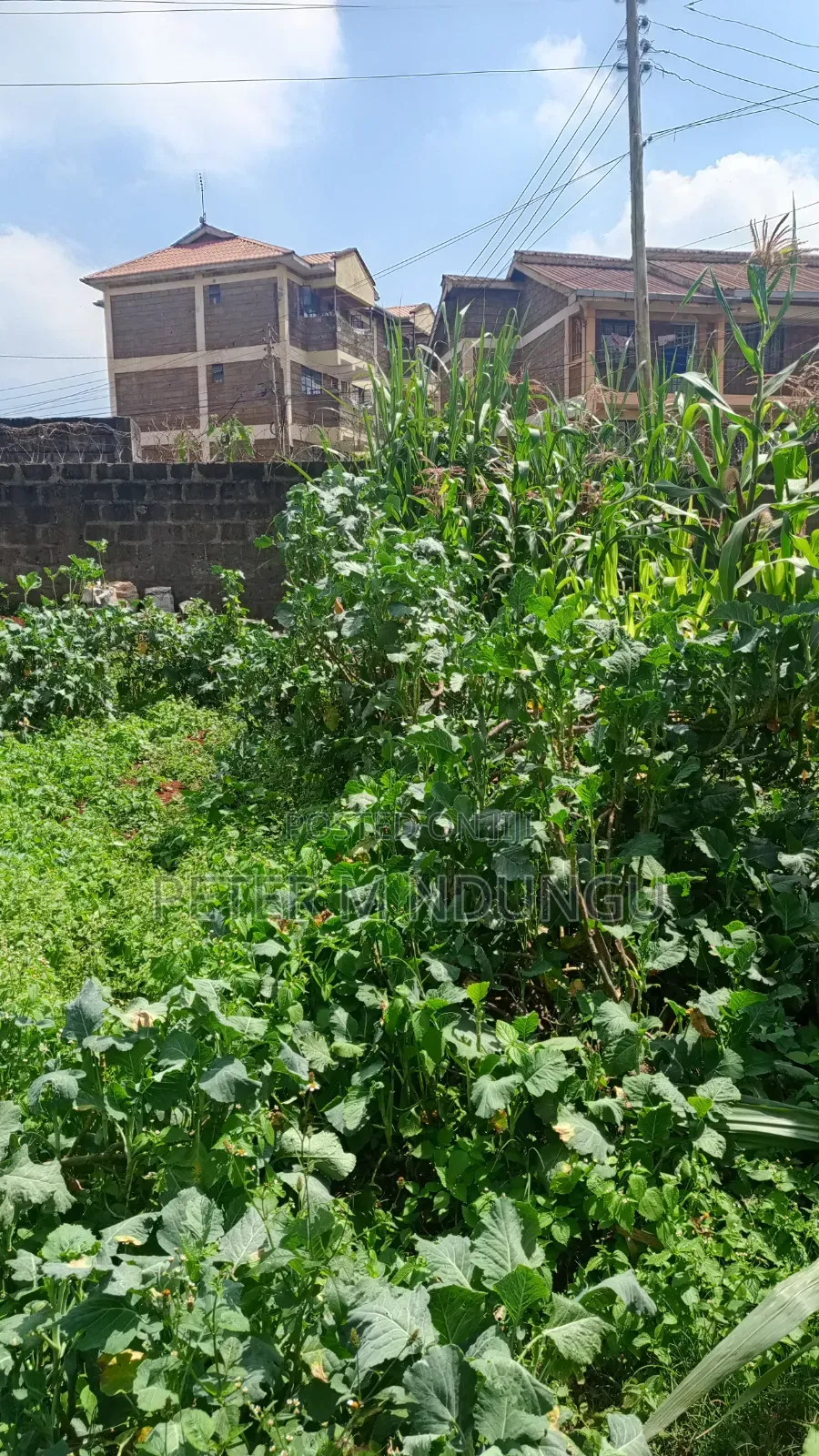 Kikuyu Town- Kidfarmaco Commercial 50*153 Ft, Prime Land