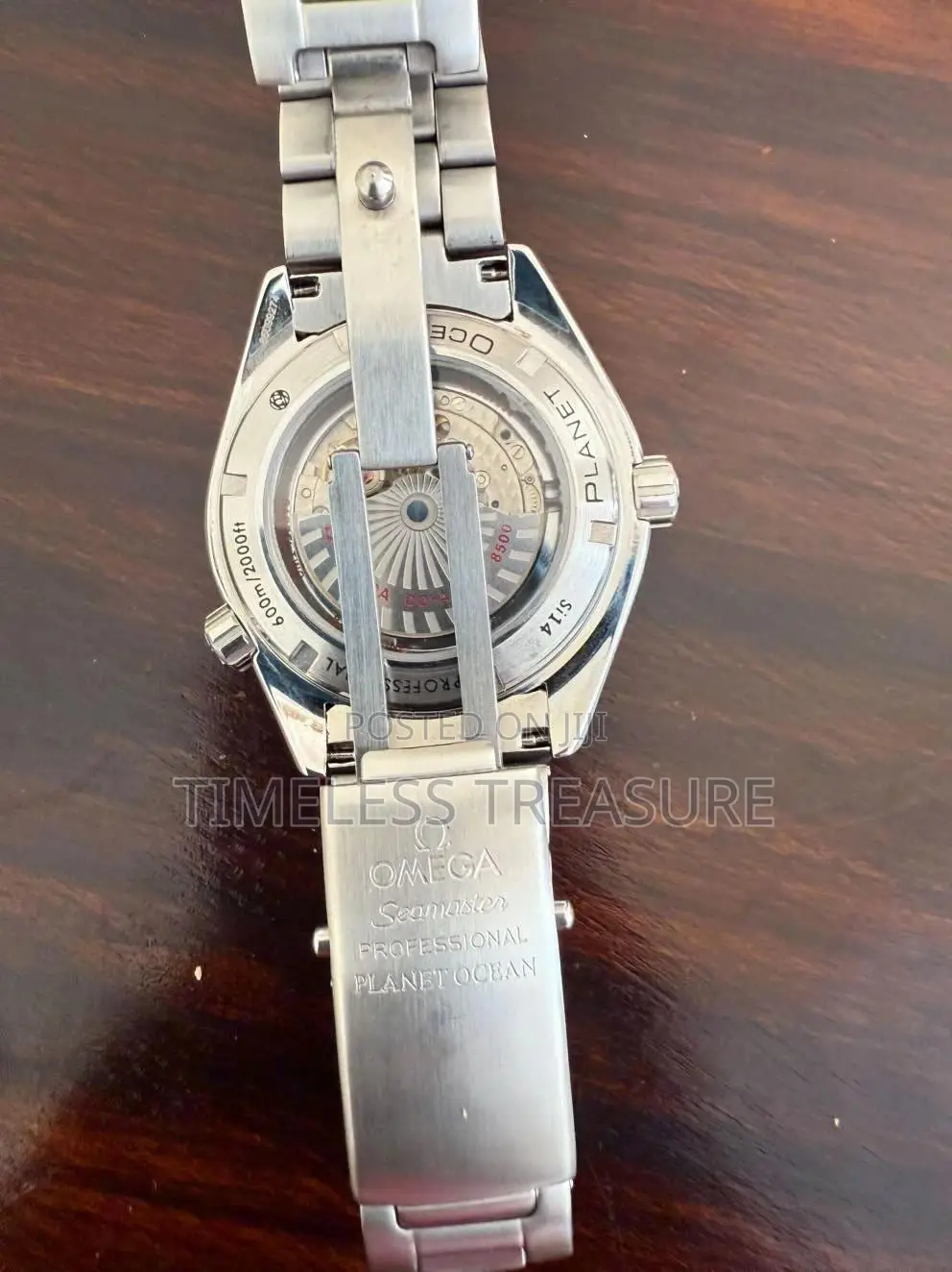 Omega Seamaster Planet Ocean