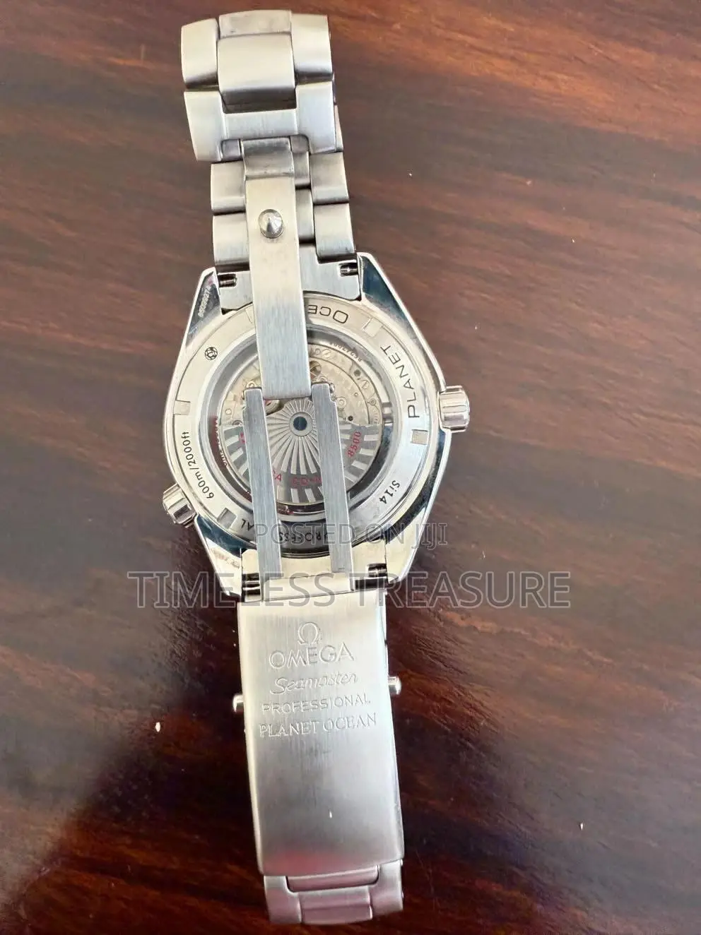 Omega Seamaster Planet Ocean