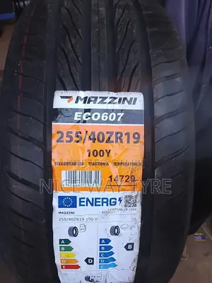 255/40r19 Mazzin