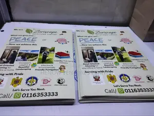 Fliers / Posters/ Brochures /Stickers