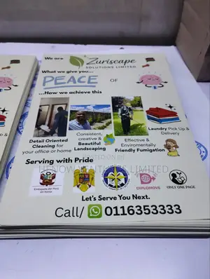 Fliers / Posters/ Brochures /Stickers