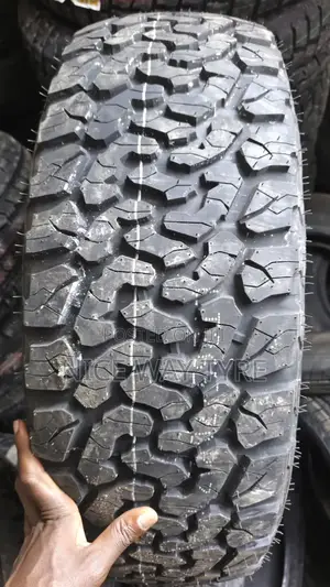 265/70r17 Everland a/T