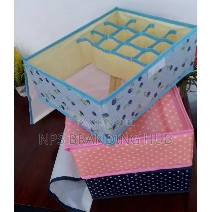Foldable 13 Grid Under Garment Organizer (N.Y.O