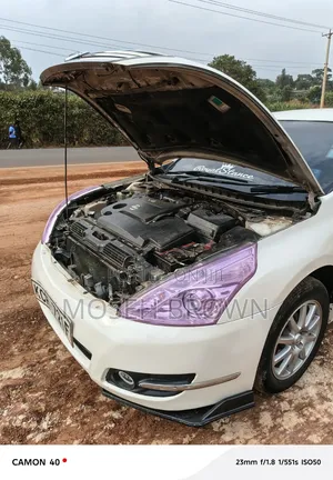 Nissan Teana 2010 Pearl