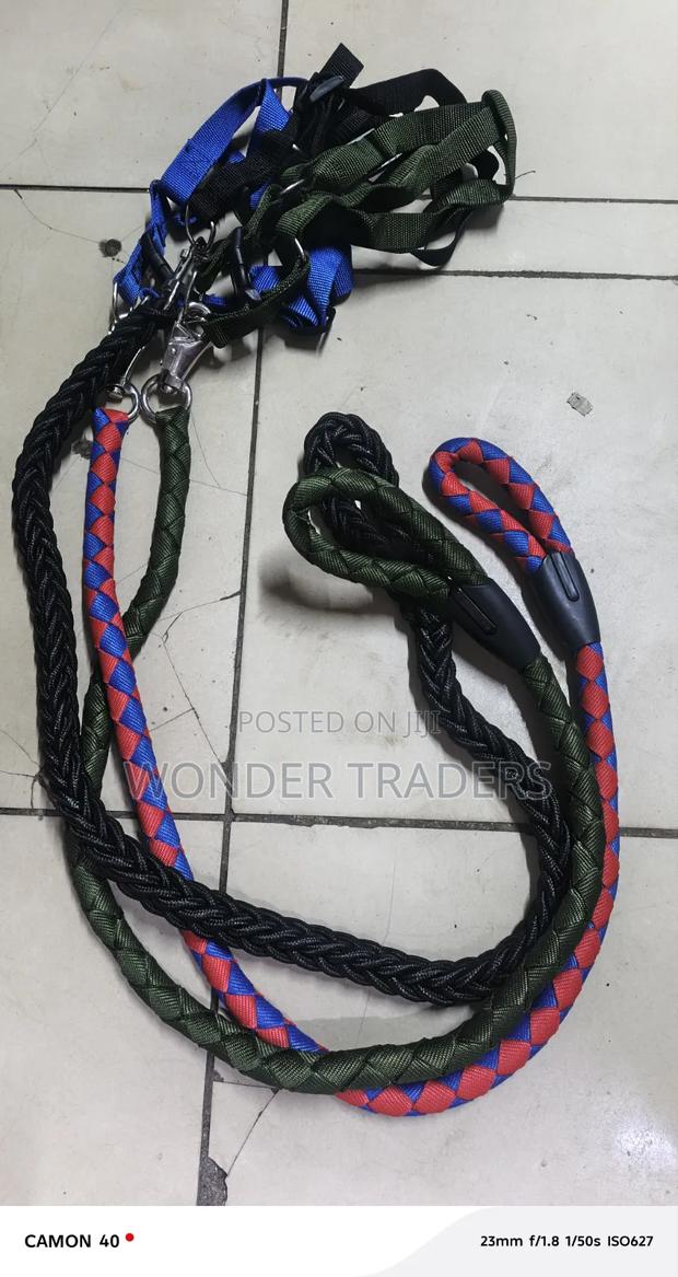 Nylon Dog Harness and Leash