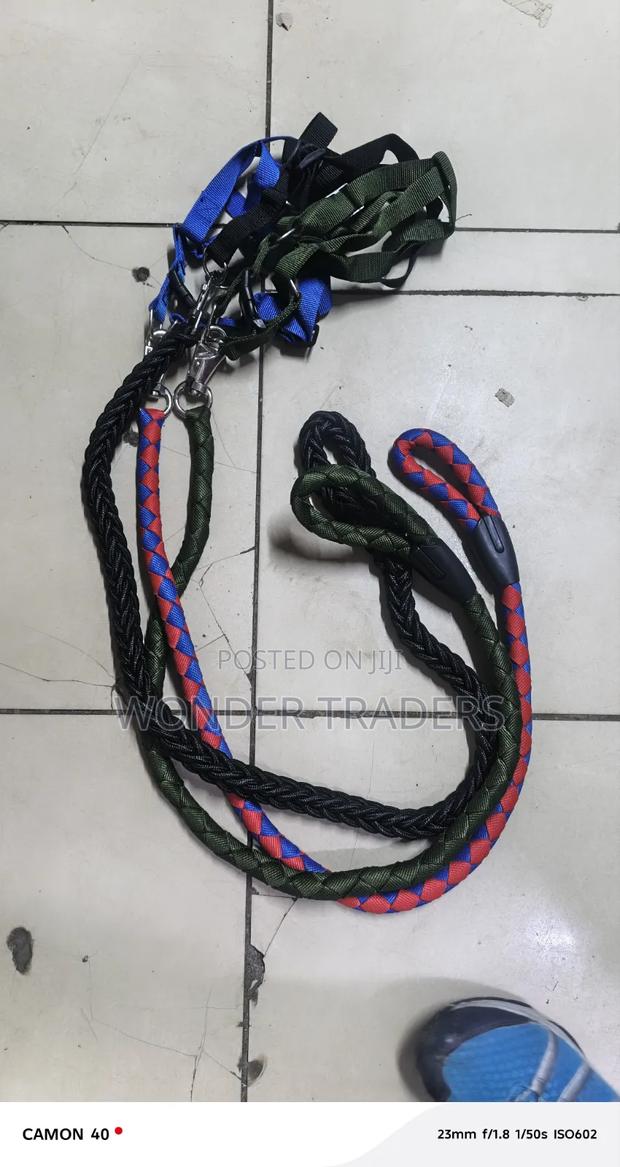 Nylon Dog Harness and Leash - thumbnail 2