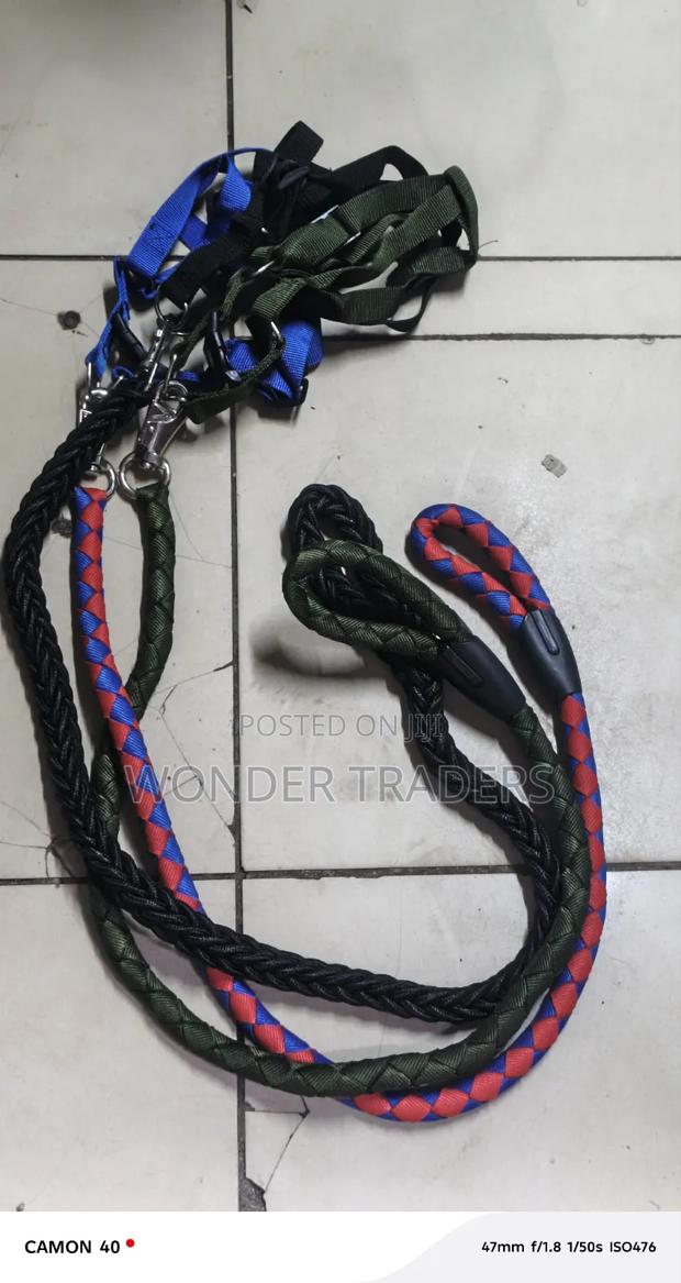 Dog Harness and Leash