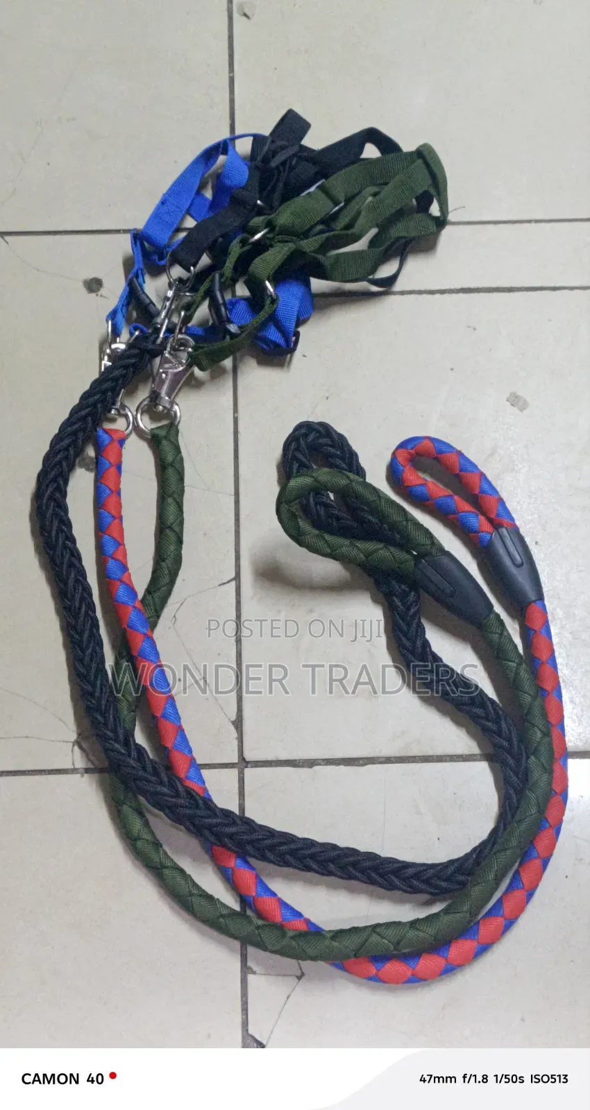 Dog Harness and Leash