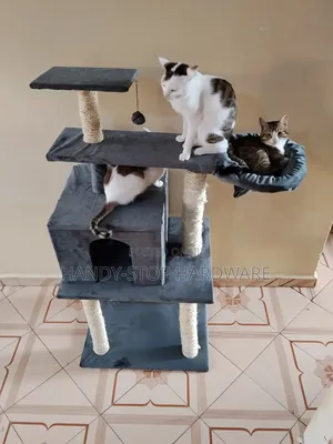 Cat Trees and Cat Towers, Scratcher