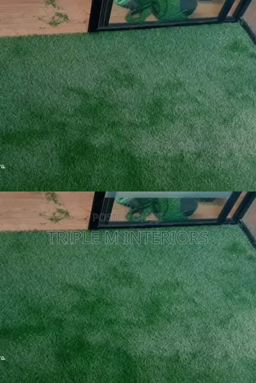 The Beauty of Premium Turf Grass