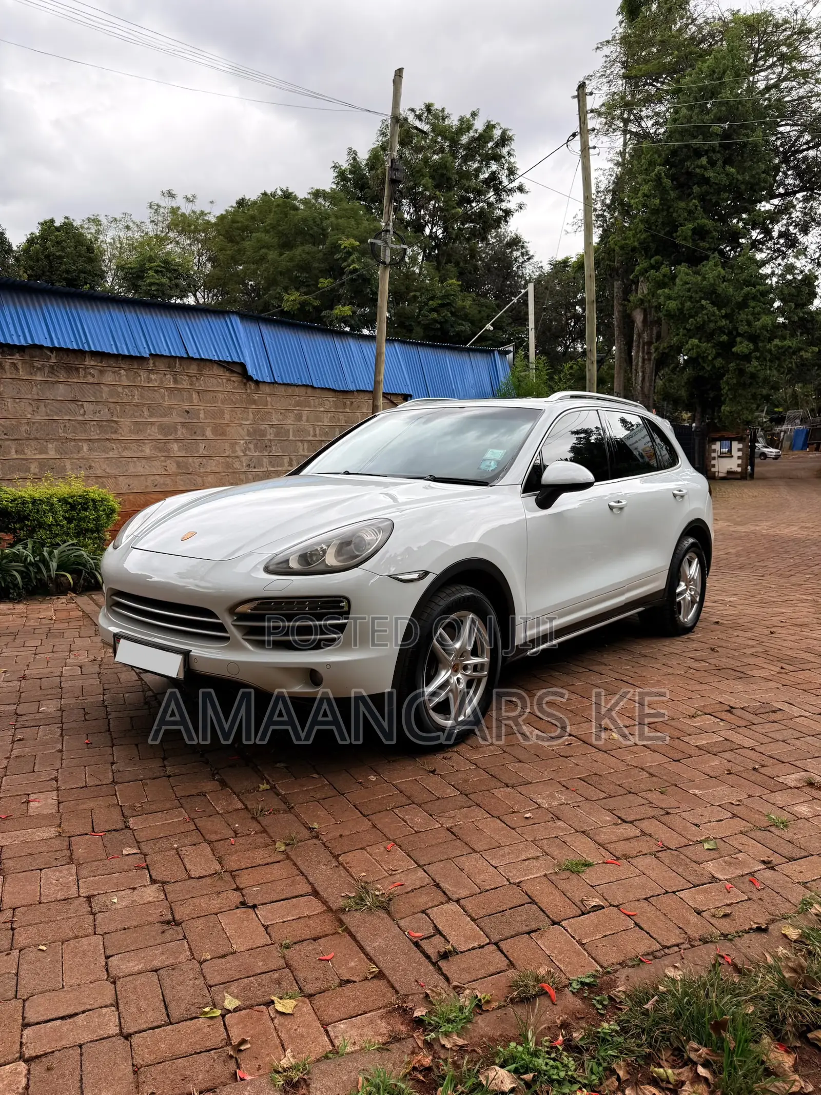 Porsche Cayenne 4dr SUV AWD (3.6L 6cyl 6M) 2014 Pearl