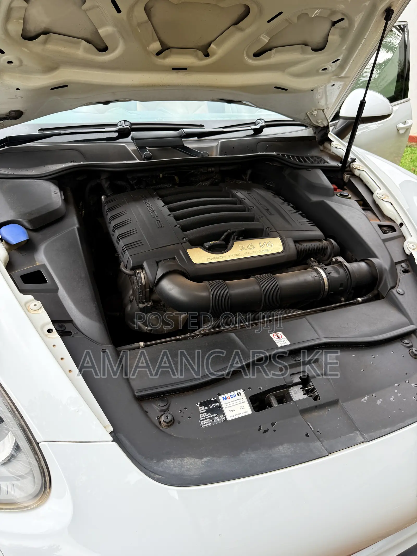 Porsche Cayenne 4dr SUV AWD (3.6L 6cyl 6M) 2014 Pearl
