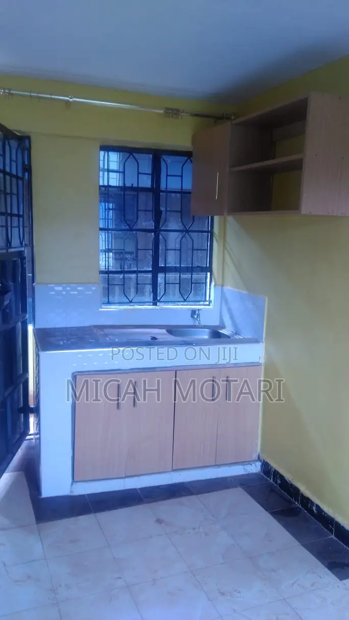 Studio Apartment in Nyamataro, Daraja Mbili for rent