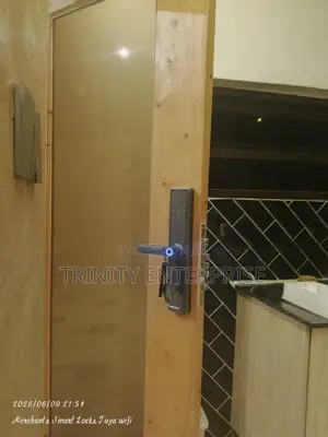 Art Door Lock Wifi Password Fingerprint Card's