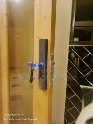 Tuya Wifi Smart Door Lock
