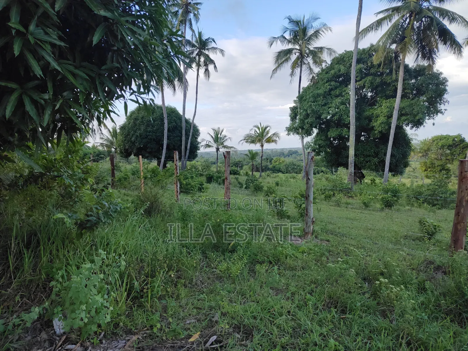 Uninterrupted Panoramic Ocean View Plot