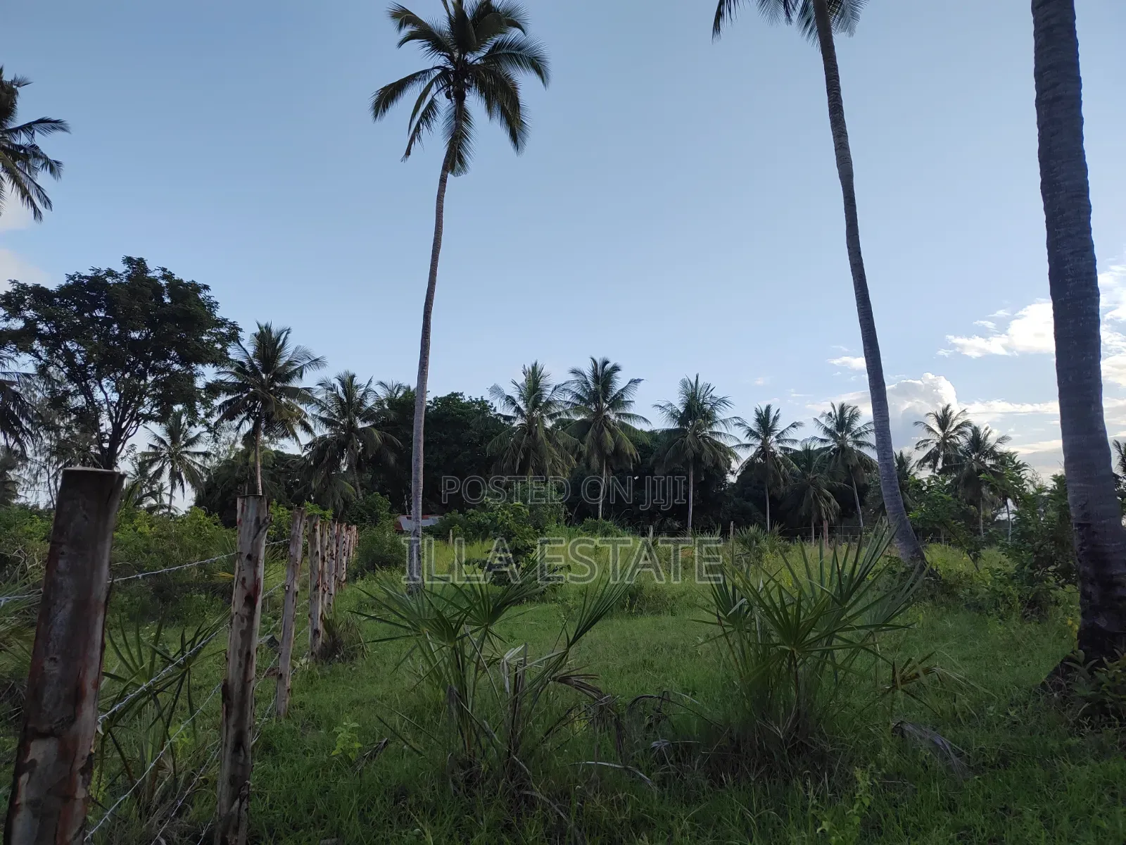 Uninterrupted Panoramic Ocean View Plot