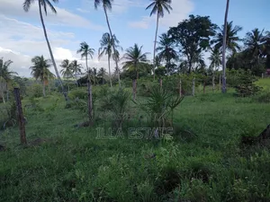 Uninterrupted Panoramic Ocean View Plot
