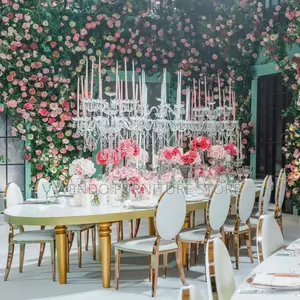 Home Chairs; Leather Classic Wedding Golden Chairs