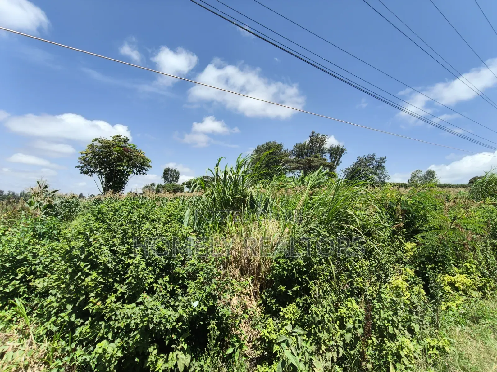 4 Acres Touching Tarmac for Sale in Olkeri, Ngong. Red Soil Land