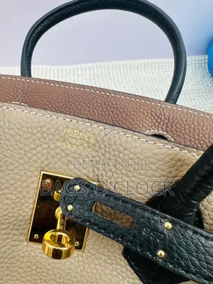 Premium Tricolor Leather Top-Handle Bag - With Gold Hardware