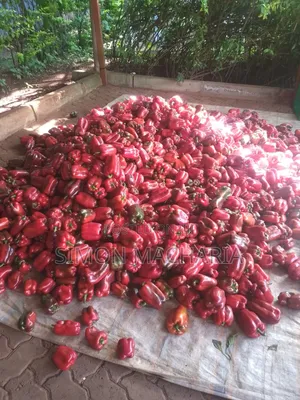 Farm Products