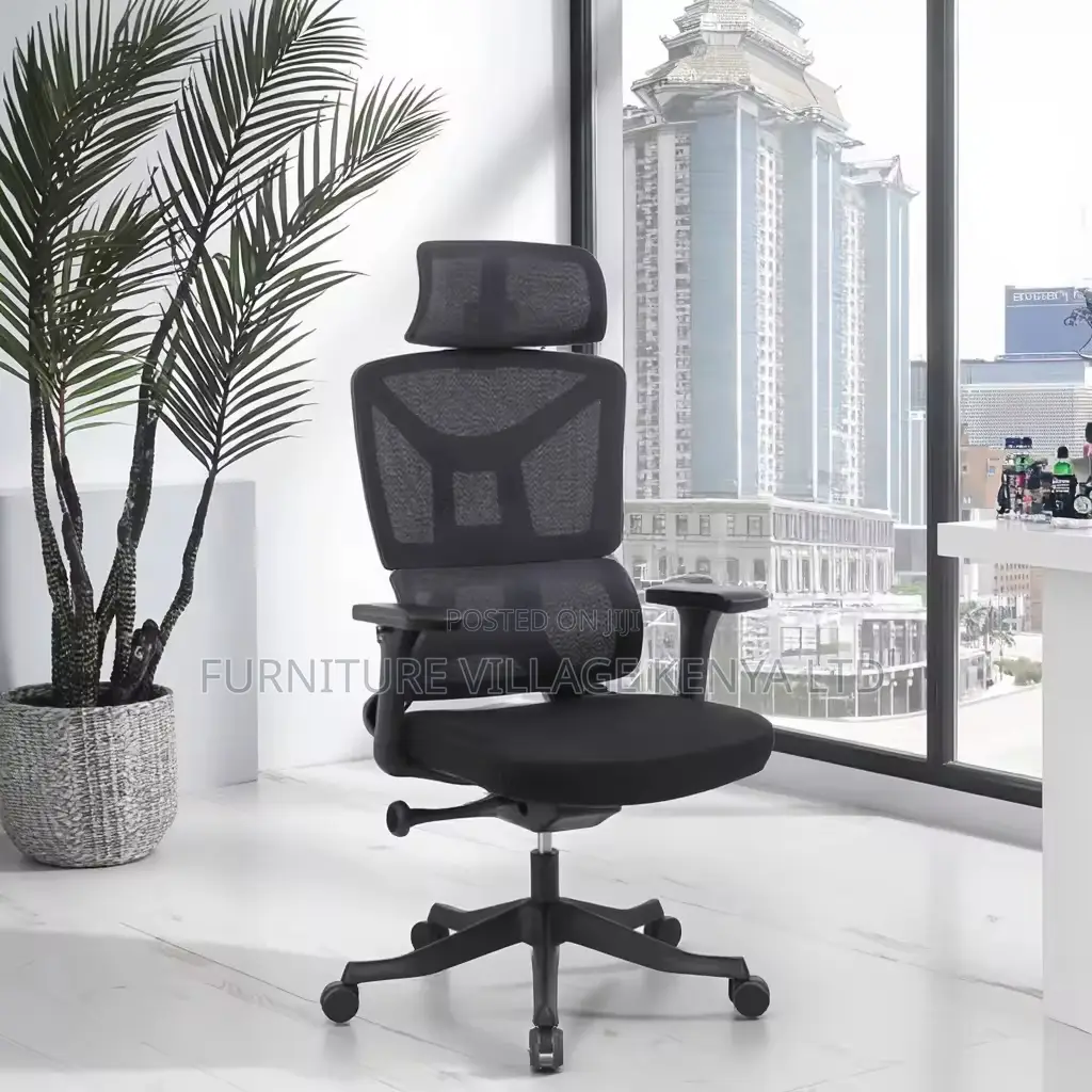 Orthopedic Adjustable Home Chair.
