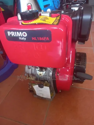 Primo Italy 10hp Diesel Engine Hl186fa