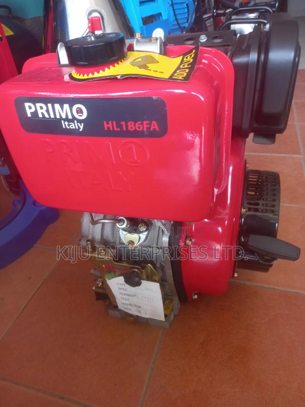 Primo Italy 10hp Diesel Engine Hl186fa